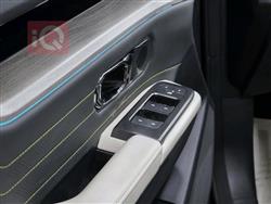 جیتۆر داشينگ